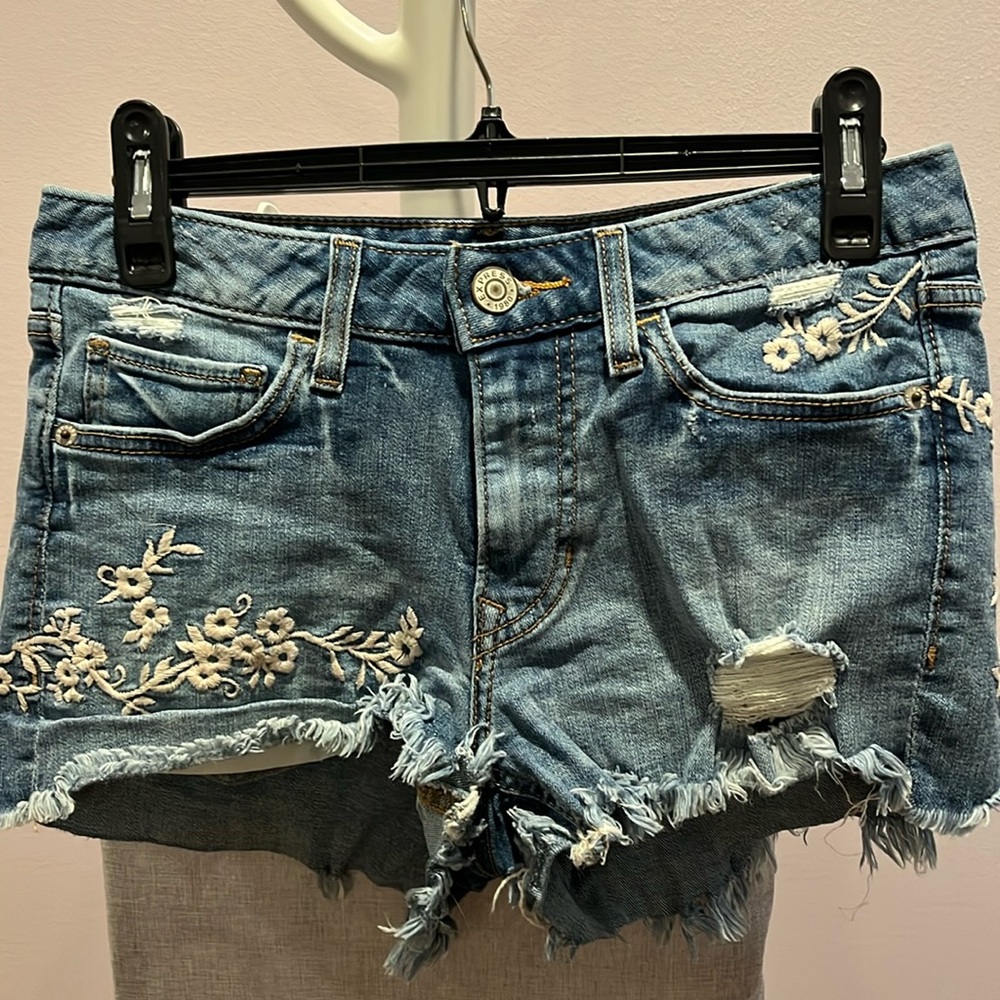 EXPRESS EMBROIDERED SHORTS